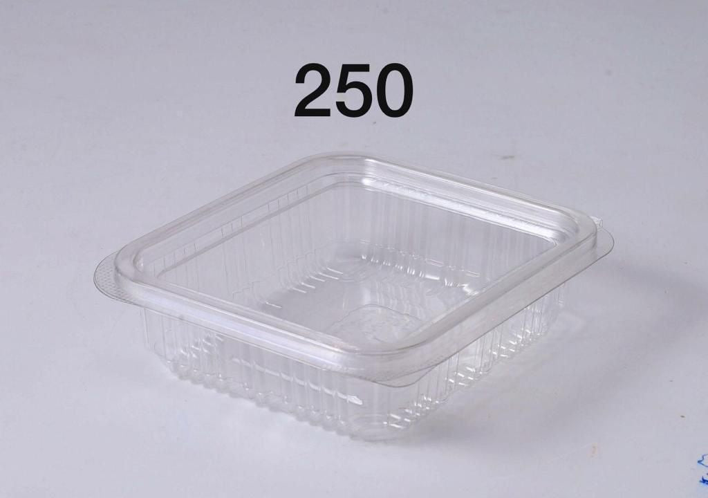 ๐ฌ PET Hinged Box โ 250 CC
