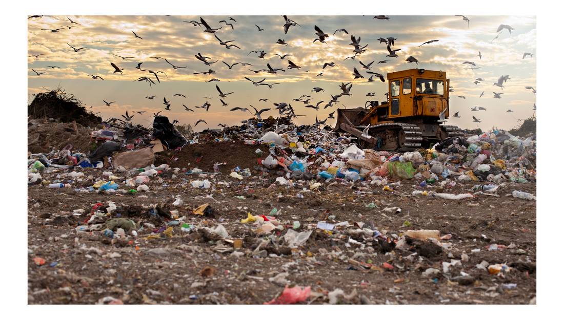 Say No to Single-Use Plastic: Choose a Low-Carbon Lifestyle for a Greener Tomorrow