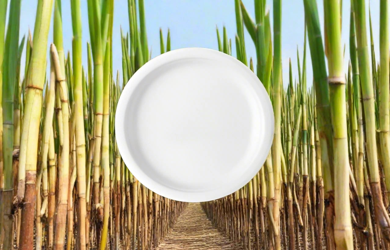 Bagasse Round Plate Pack of 10 pcs. (size 6")
