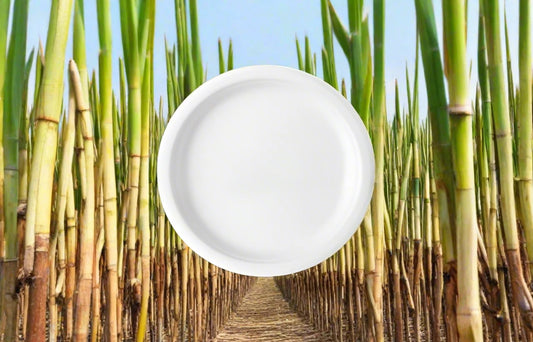 Bagasse Round Plate Pack of 10 pcs. (size 6")