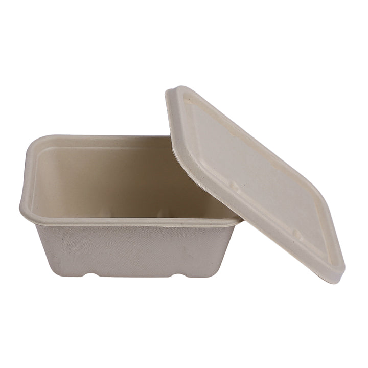 Bagasse Square Container with Anti-Leak Lid